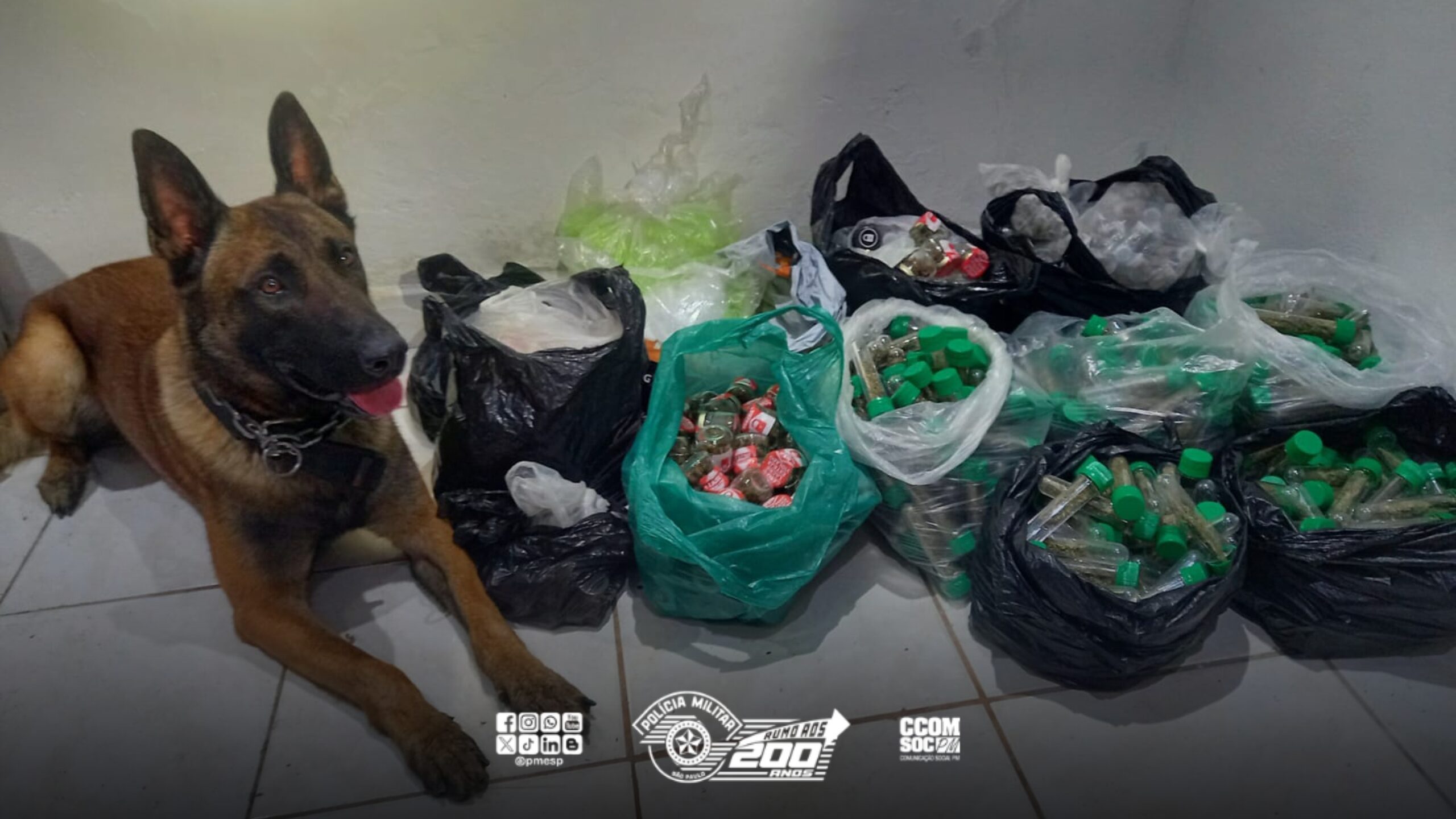 PM apreende mais de 25kg de drogas em “casa bomba” na zona norte de São Paulo/SP