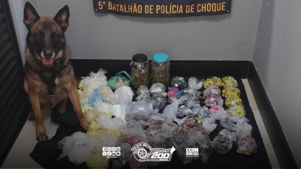 Canil localiza quase 10 kg de drogas em casa desabitada na zona sul de São Paulo