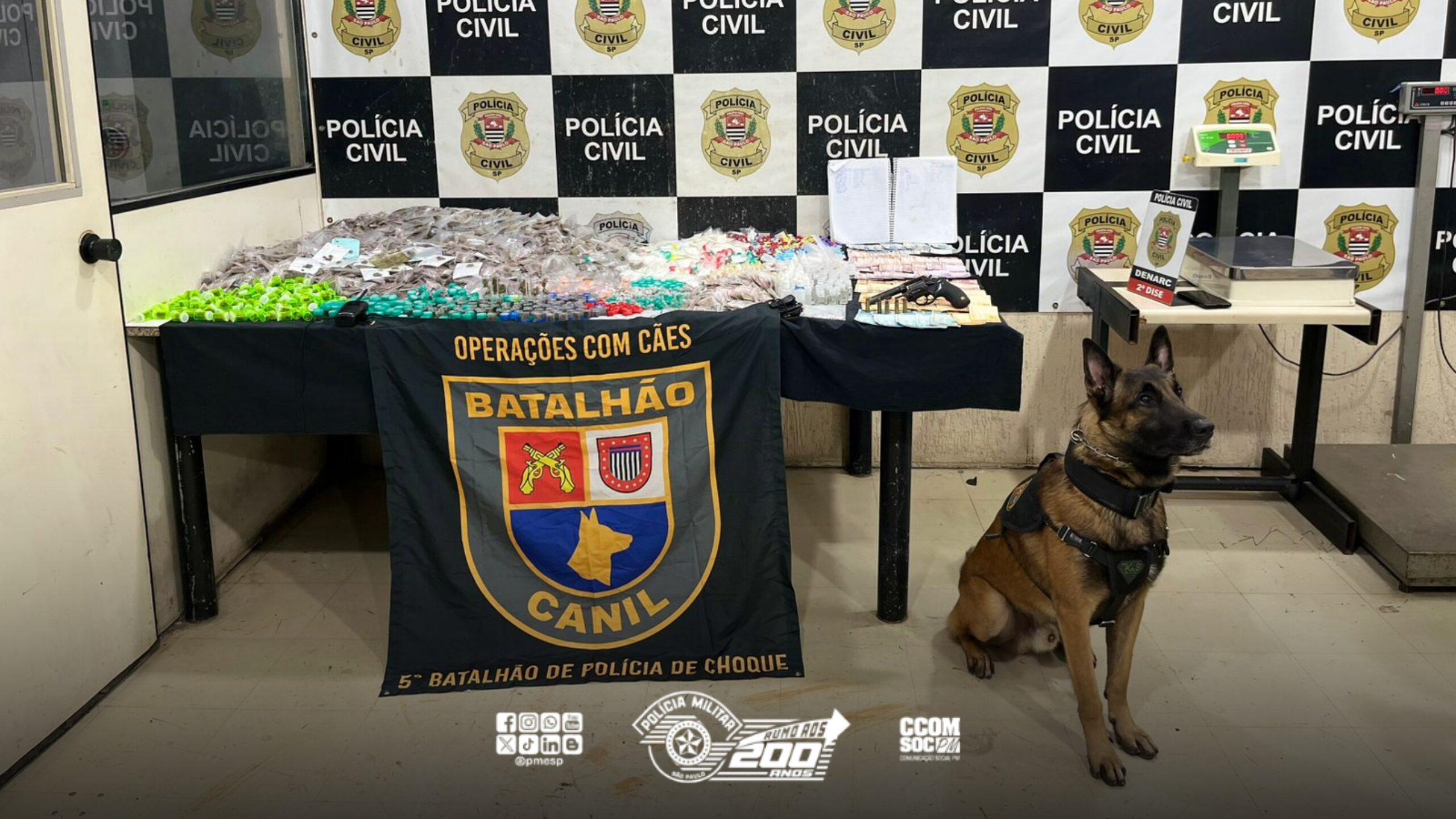 Com o cão policial Ice, PM apreende mais de 16kg de drogas em operação na zona oeste de SP