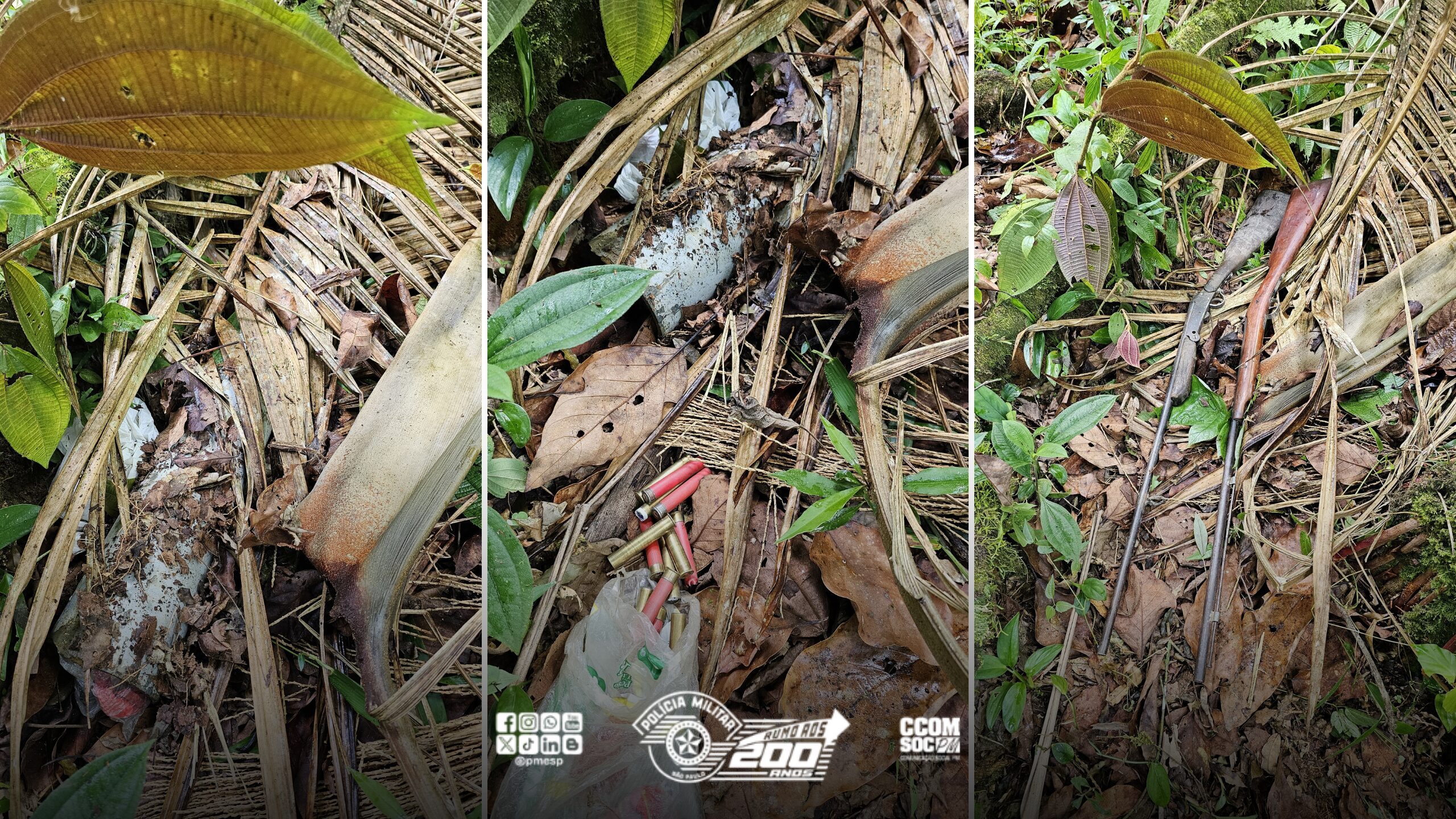 OPERAÇÃO VERÃO: PM Ambiental localiza espingardas e armadilhas de caça escondidas em mata no litoral de SP