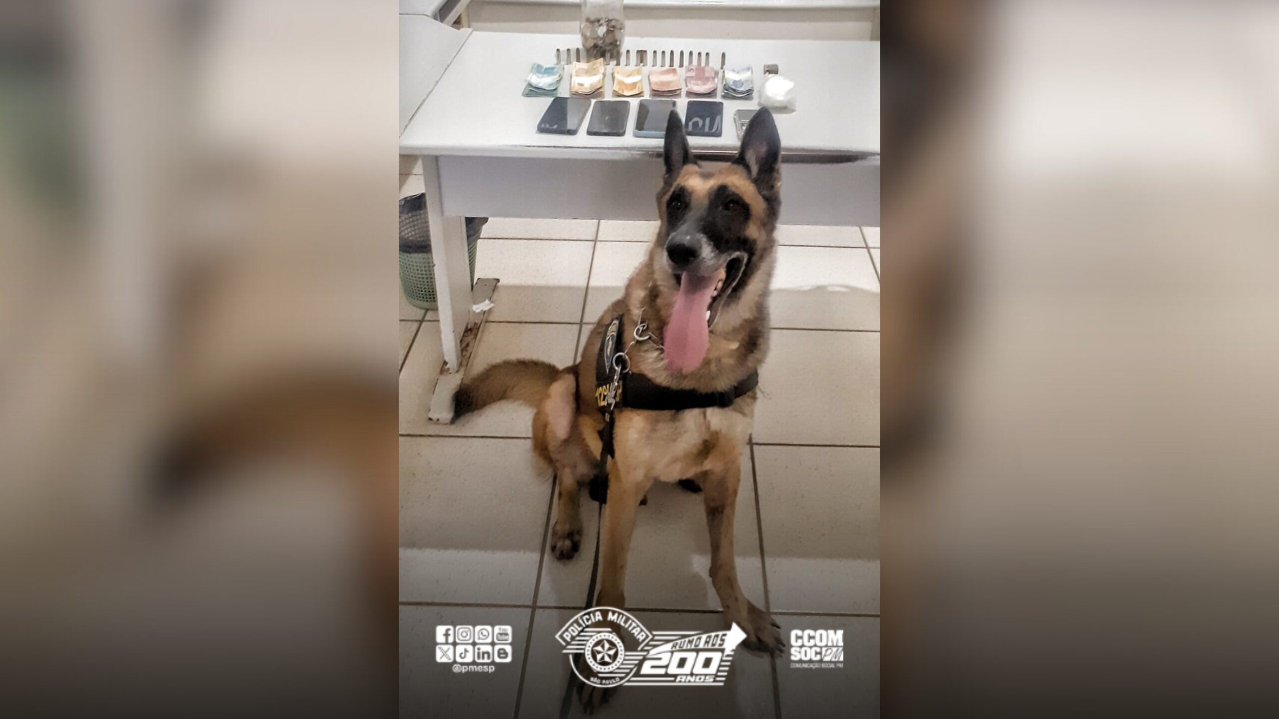 Drogas e dinheiro do tráfico são apreendidos em ação da PM no interior de SP