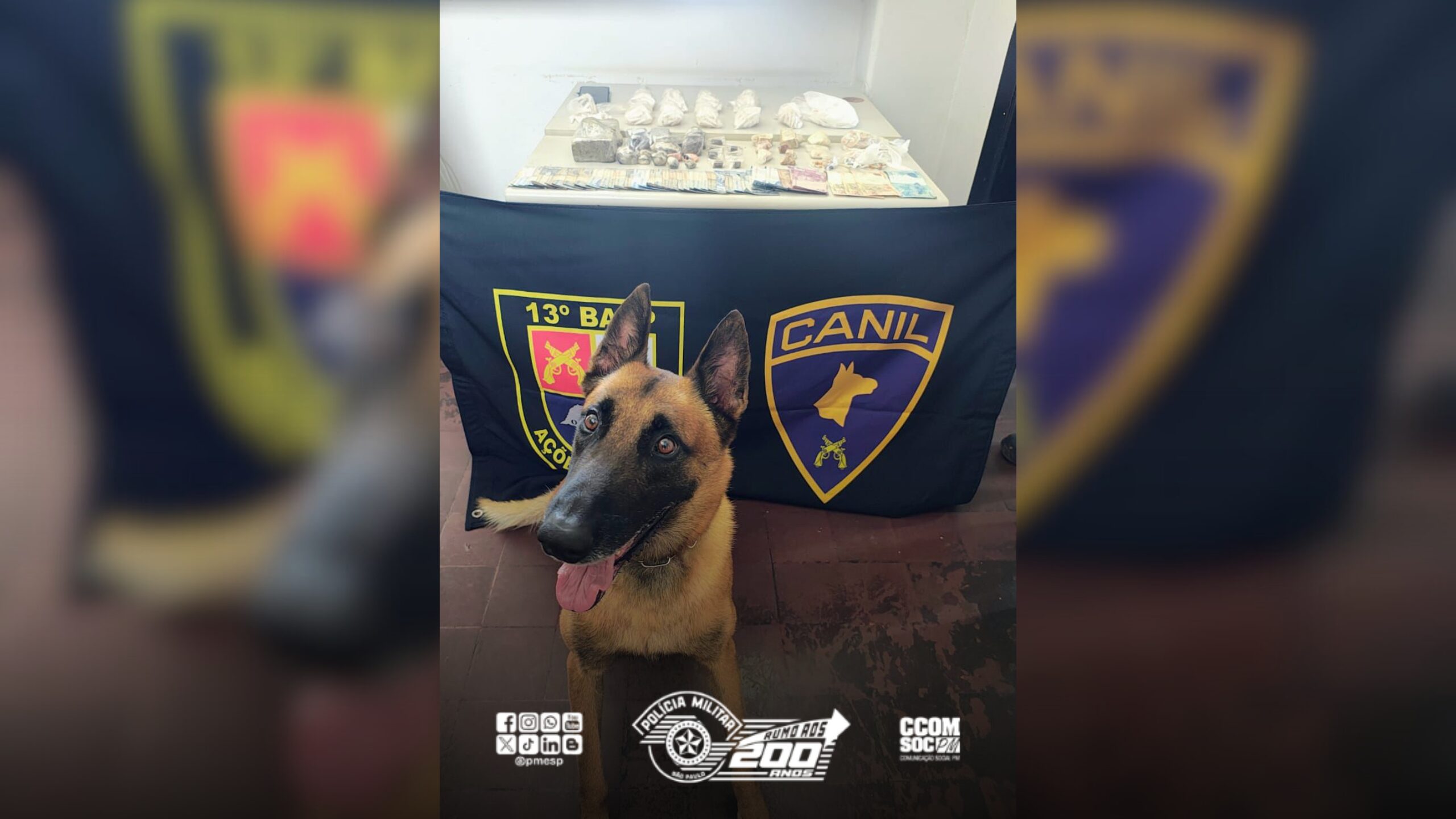 Operação da PM no interior de SP resulta em traficante preso e drogas apreendidas