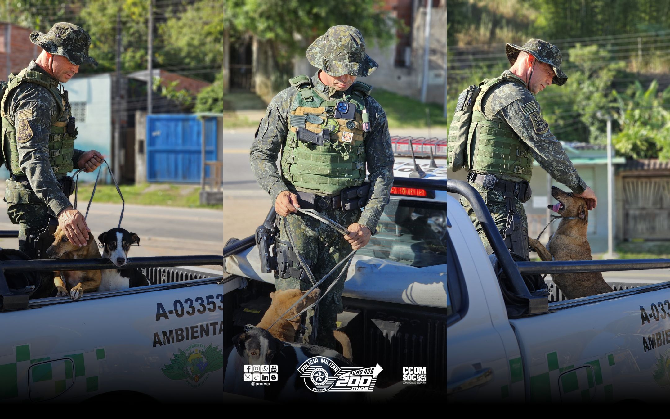 Ação conjunta da PM Ambiental e Fundação Florestal desativa ponto de caça e maus-tratos a animais em Unidade de Conservação