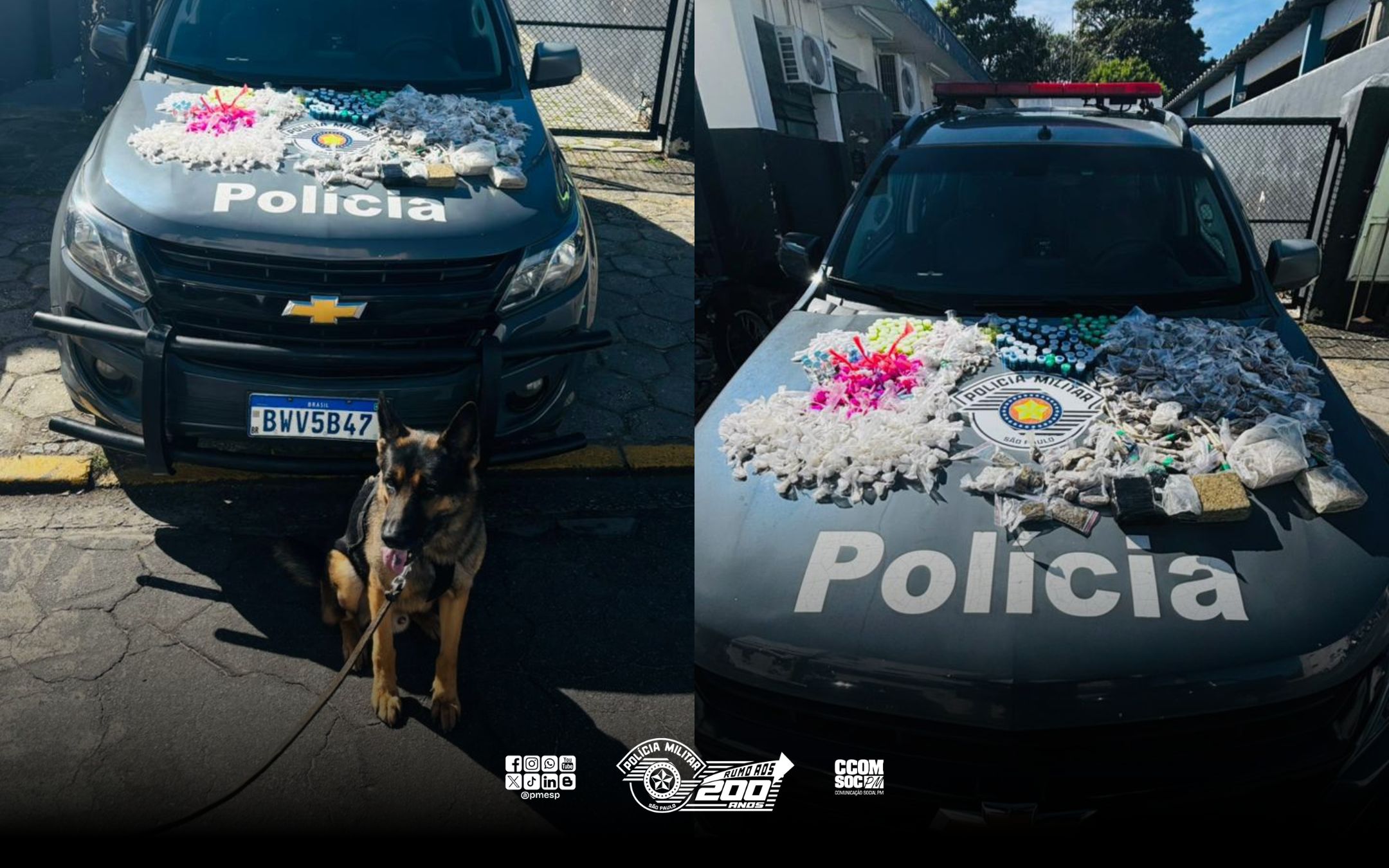 Com cães farejadores, PM localiza 3,6kg de drogas em Tremembé/SP