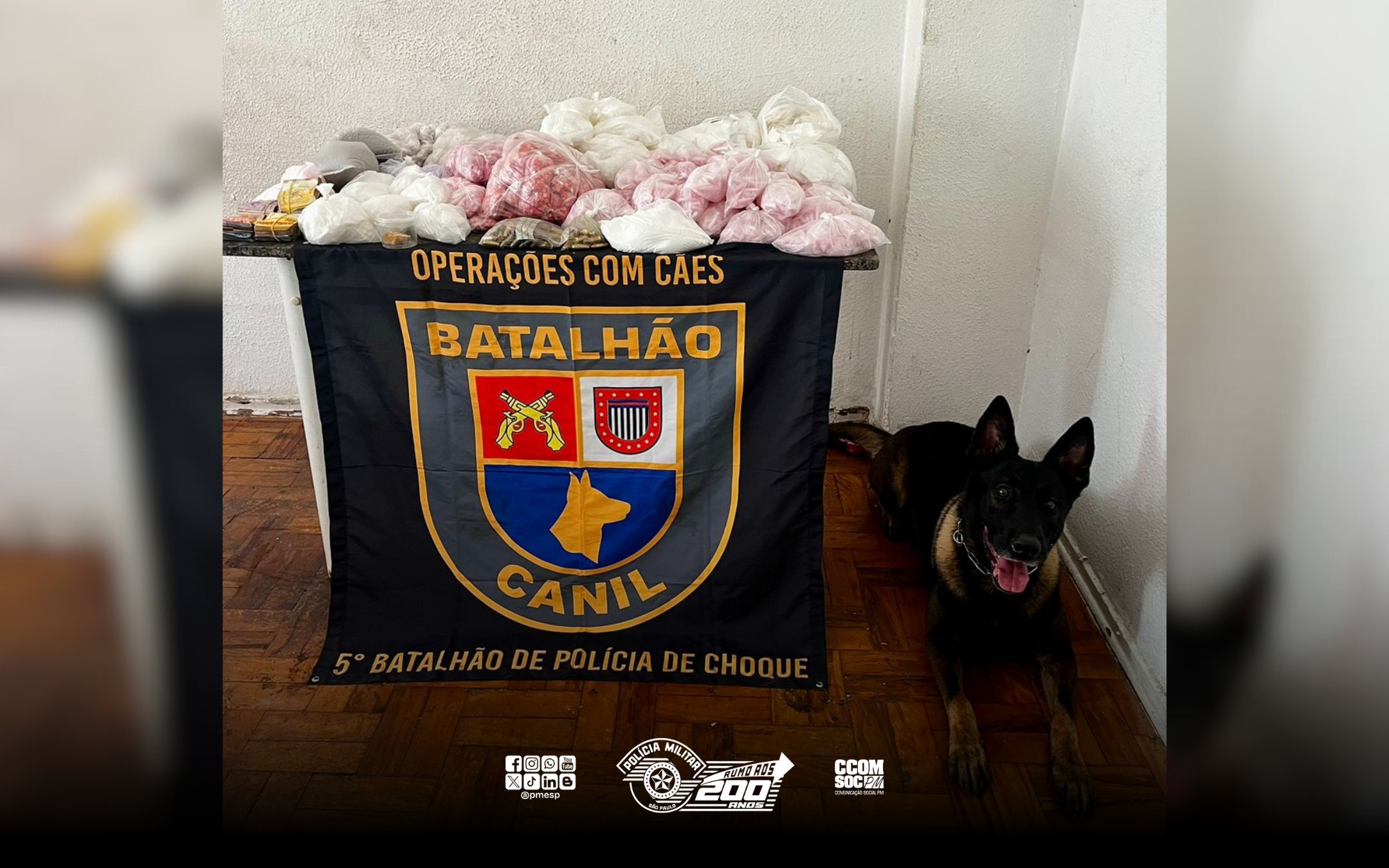 Operação no centro de SP resulta na apreensão de 13,6kg de drogas e mais de R$ 4 mil em dinheiro