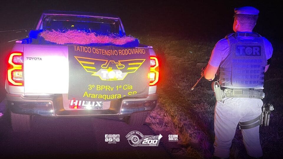 Na noite de domingo (25), durante patrulhamento tático pela Rodovia Washington Luís, em Araraquara/SP, policiais militares rodoviários prenderam um homem por furto de veículo. A ação teve início após o COPOM (Centro de Operações da Polícia Militar) irradiar um furto em andamento em uma concessionária localizada na cidade.