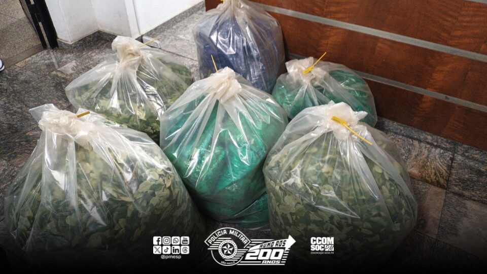 No sábado (17), uma equipe da Atividade Delegada da Polícia Militar prendeu três pessoas por tráfico de drogas na região da Mooca, zona leste da capital. A ocorrência teve início após uma denúncia anônima feita por uma pedestre, informando que um casal estaria comercializando folhas de coca nas proximidades da Rua Bresser.
