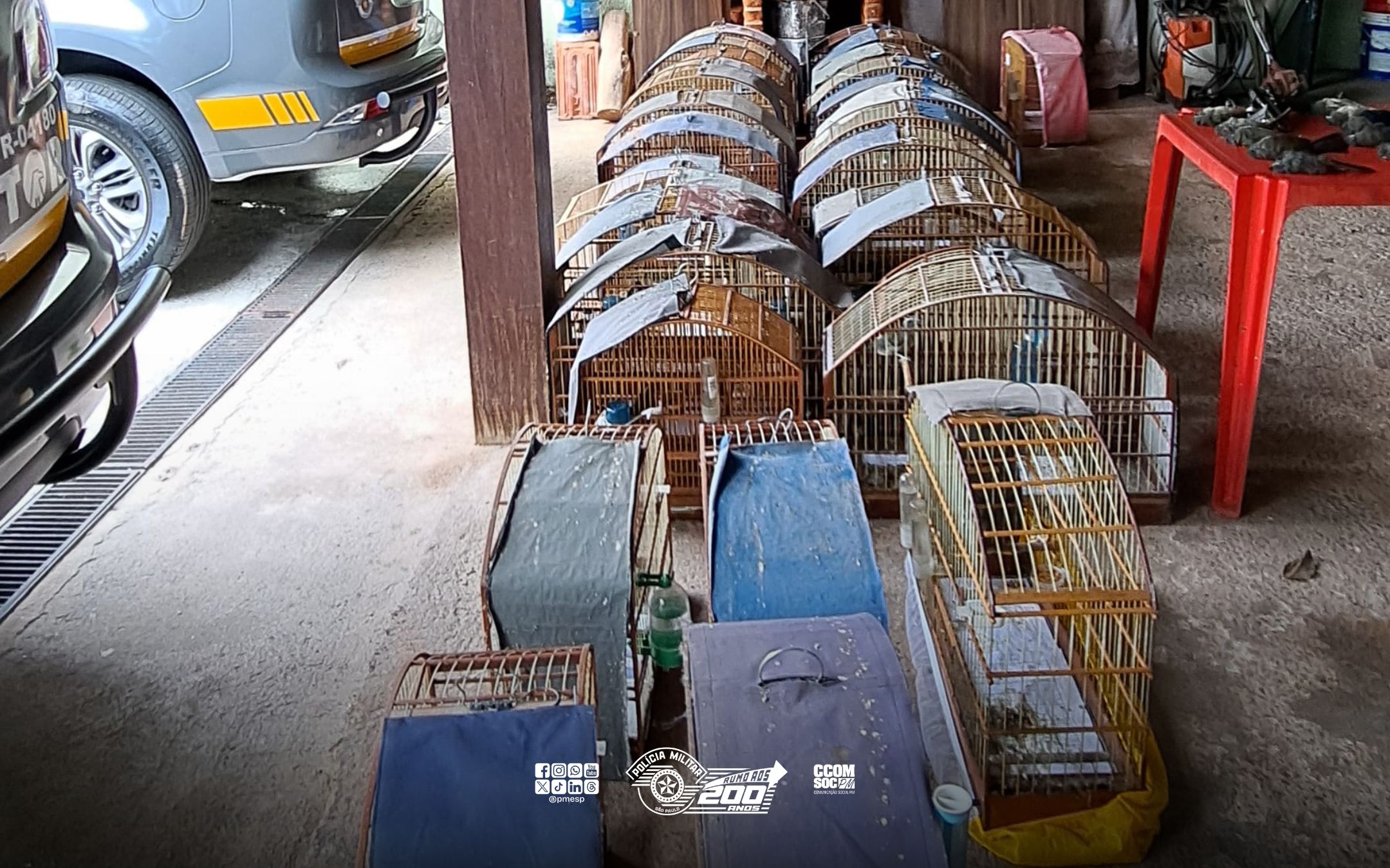 Dupla envolvida em roubo de aves valiosas em Minas Gerais é presa pela PM Rodoviária em Itatiba/SP