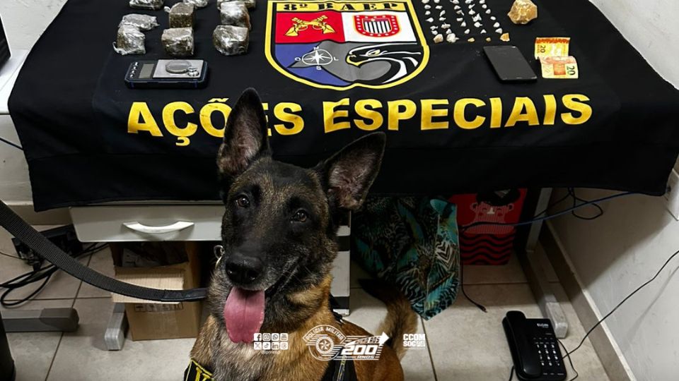 Ação do 8º BAEP resulta na apreensão de drogas, dinheiro e celulares em Regente Feijó/SP
