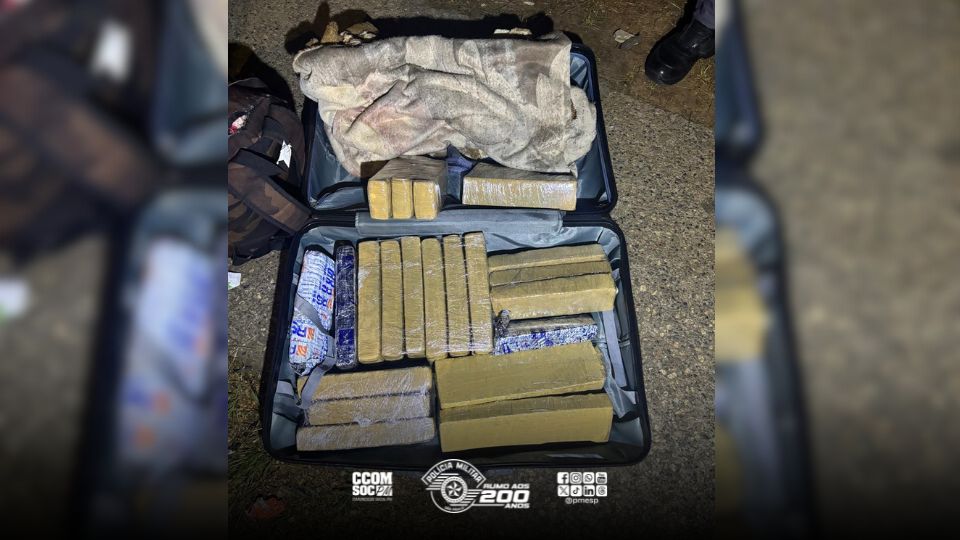 Mais de 14 kg de maconha são apreendidos em operação na zona norte de São Paulo/SP