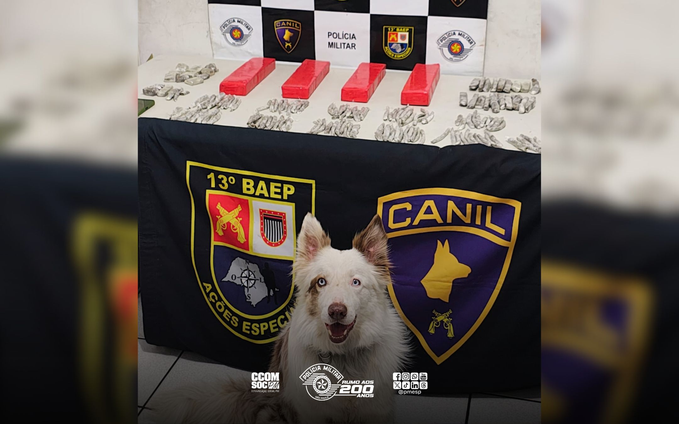 Ação do BAEP resulta na prisão de traficante no interior de SP