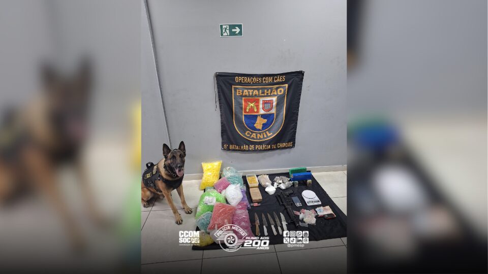 Apreensão de mais de 6 kg de drogas com apoio de cão farejador na zona norte de São Paulo/SP