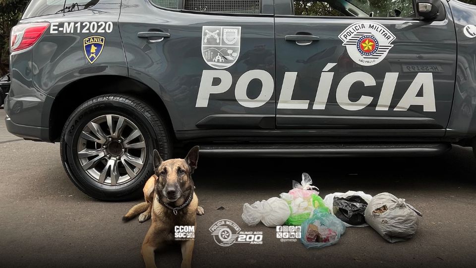 Operação conjunta com GAECO localiza mais de 4 kg de entorpecentes em barraco abandonado na capital 