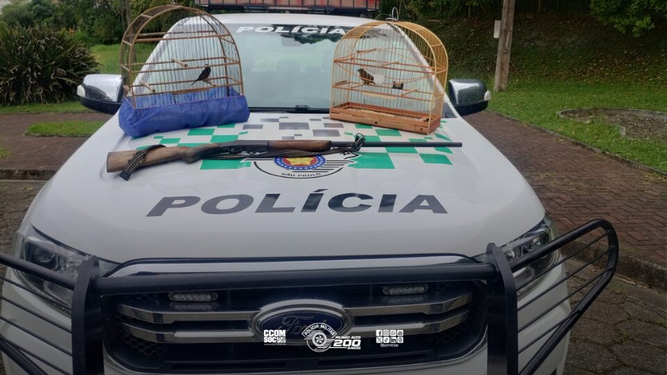 Polícia Militar Ambiental flagra manutenção irregular de aves silvestres e arma de fogo na zona rural de Ribeira/SP