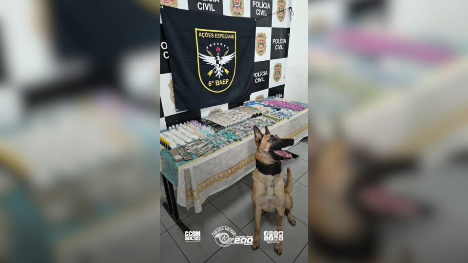 POLÍCIA MILITAR APREENDE GRANDE QUANTIDADE DE DROGAS EM SÃO BERNARDO DO CAMPO/SP