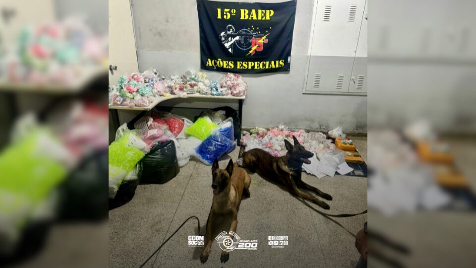 Polícia Militar prende dois homens e apreende grande quantidade de drogas durante ação em Francisco Morato-SP