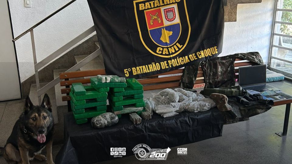 Com auxílio de cão farejador Polícia localiza mais de 24 quilos de drogas em Cubatão/SP