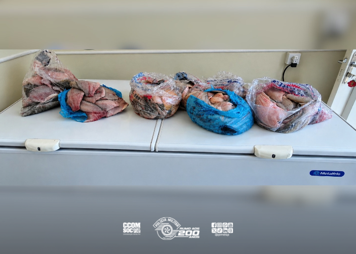 Polícia Militar Ambiental apreende 43 quilos de pescado sem documentação em Rifaina